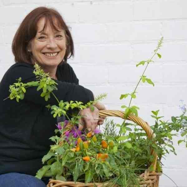 Pam Warhurst
